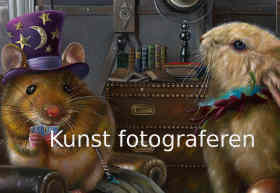 Kunst fotograferen